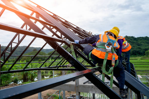 Best Storm Damage Roof Repair  in Brandon, MS