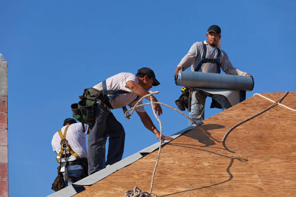 Best Gutter Installation and Roofing  in Brandon, MS